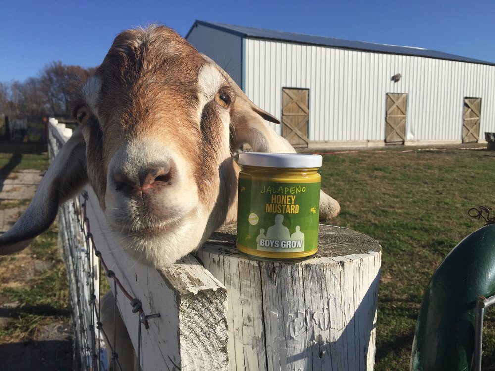 Farming Entrepreneurs: BoysGrow Kansas City