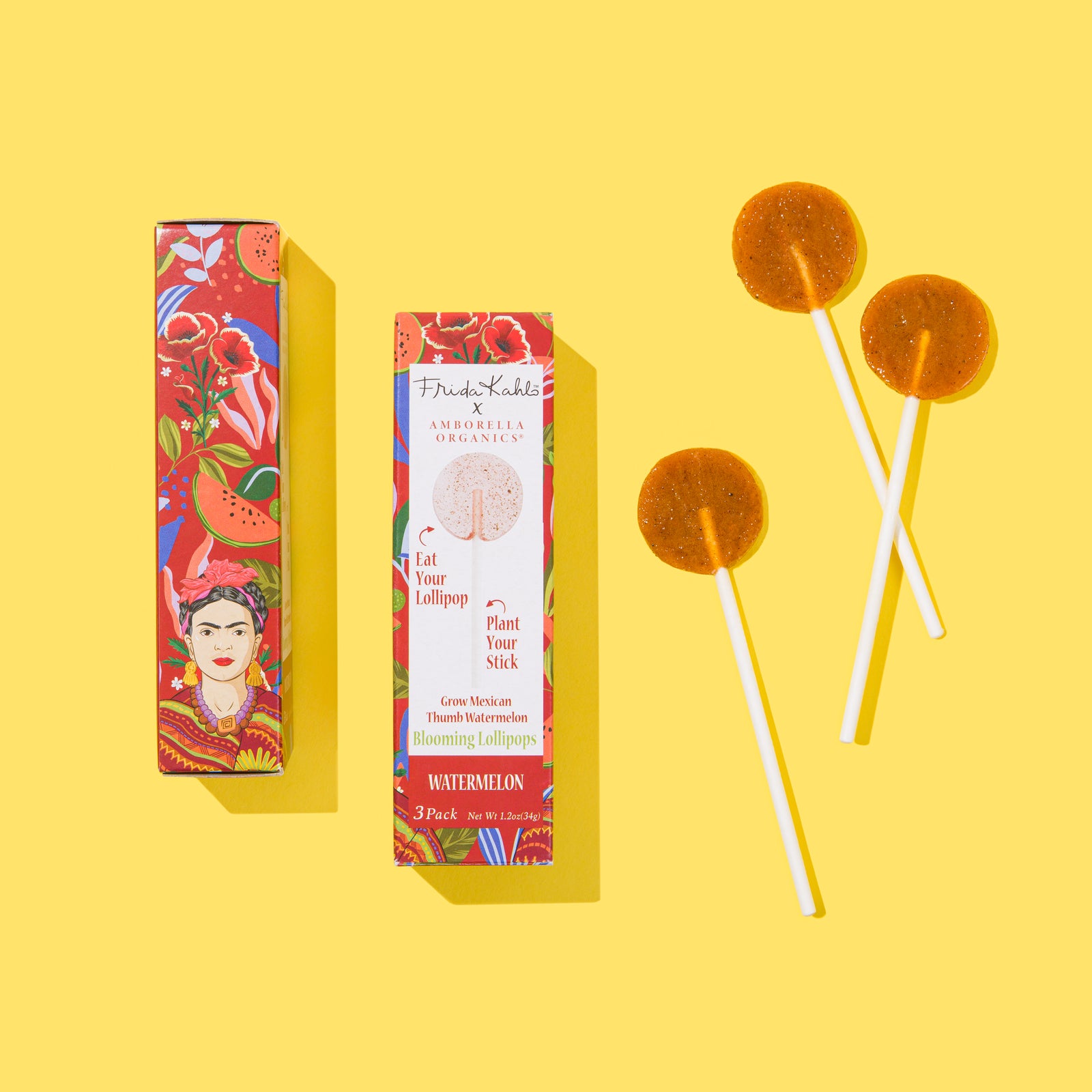 Frida Kahlo Watermelon 3-Pack
