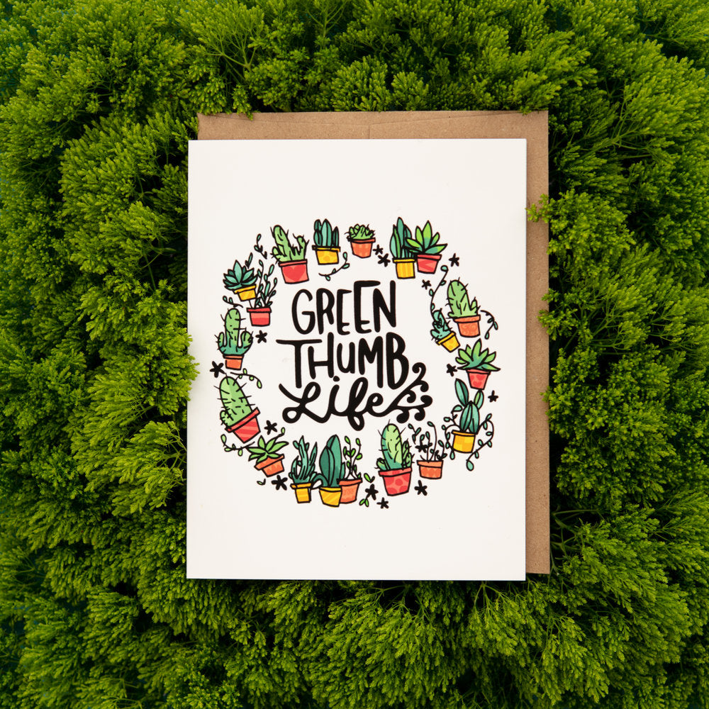 Collins Amborella 2019_02_21-1473.jpg