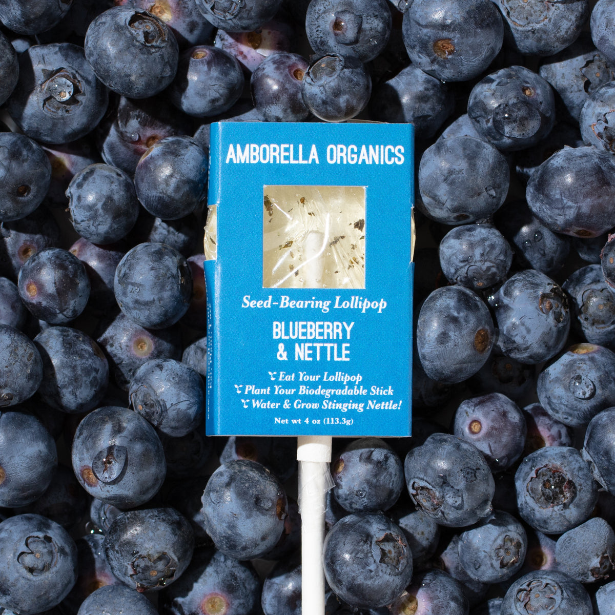 Blueberry & Nettle
