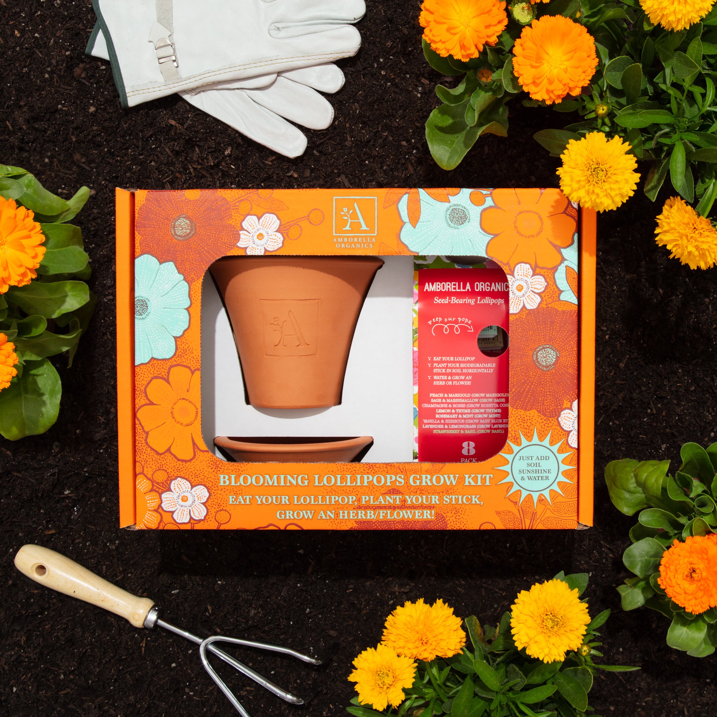 BonBon 断捨離中！ 【Blooming 】ダブルス5枚セット Blooming Lollipops Grow Kit - Amborella Organics