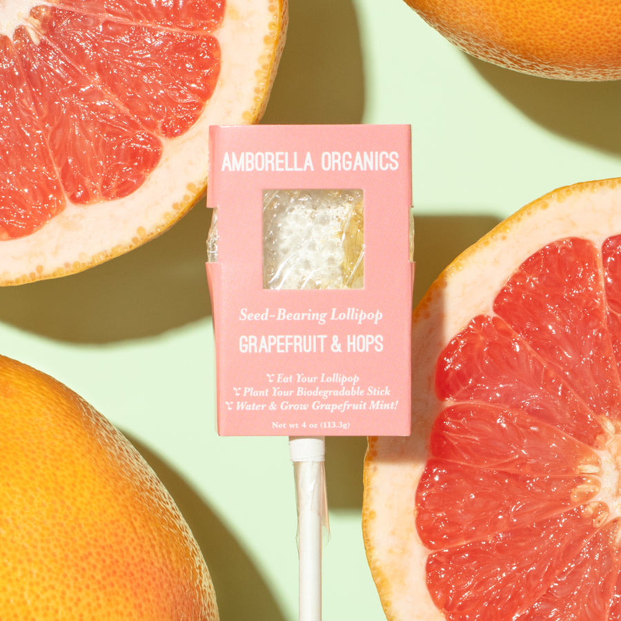 Grapefruit & Hops