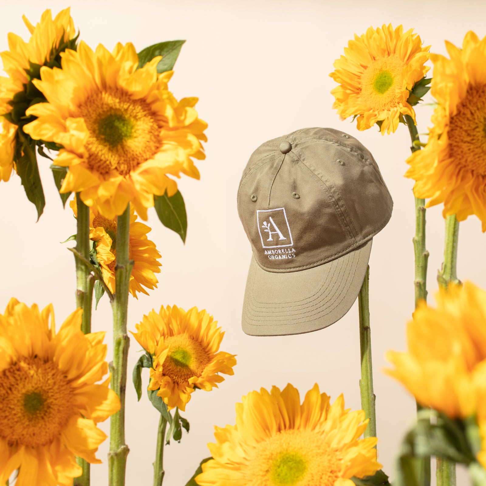 AO Organic Cotton Hat