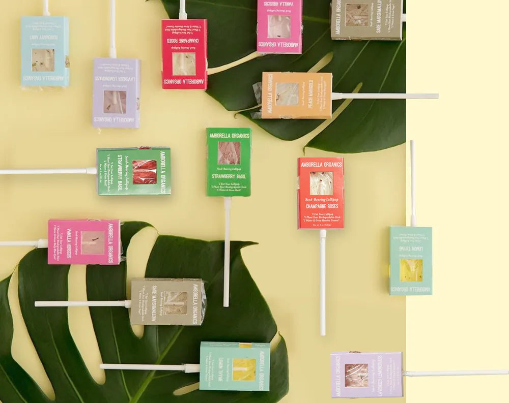 Amborella Organics lollipops in their packaging